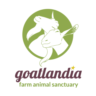 Goatlandia Farm Animal Sanctuary