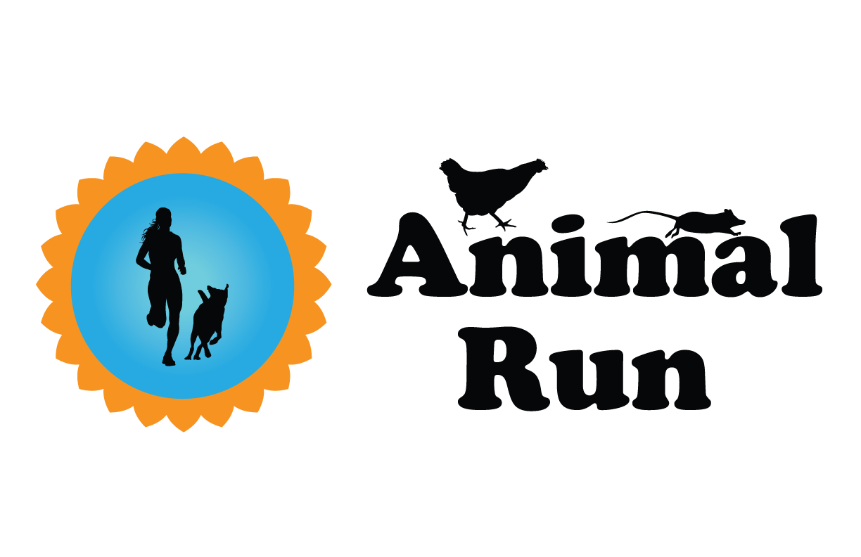 The Animal Run