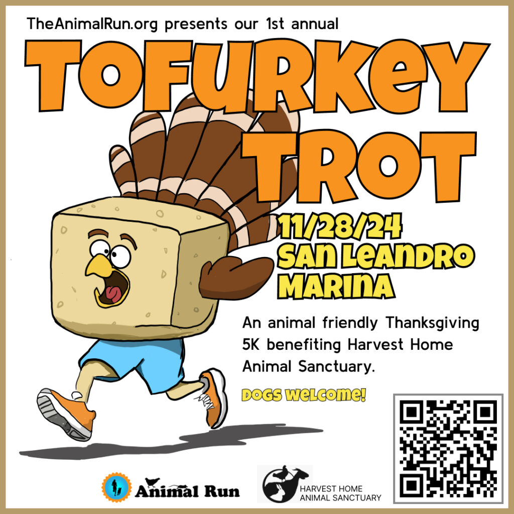 Tofurkey Trot - November 28, 2024